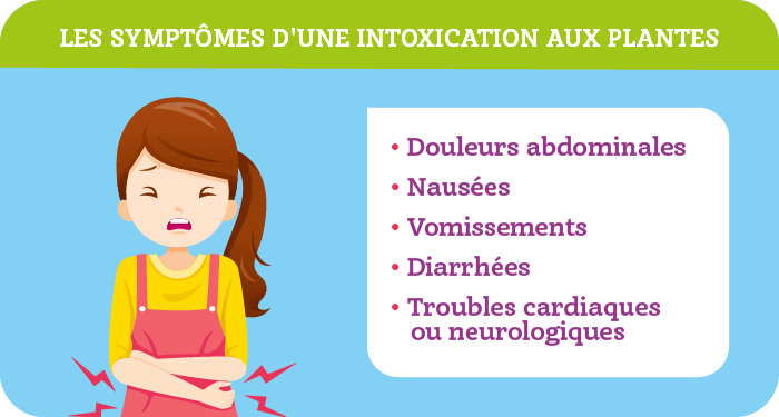 Muguet et plantes toxiques au printemps : attention au risque d’ingestion !