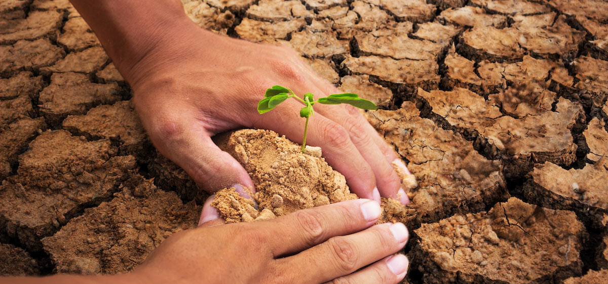 5 idées reçues sur le changement climatique !