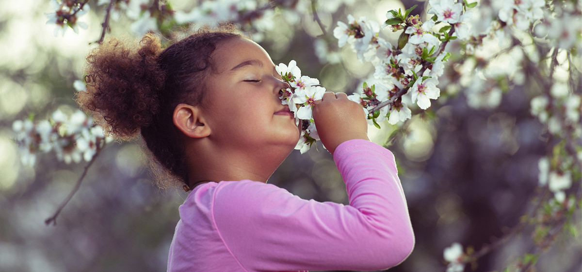 Écologie : comment apprendre à vos enfants à devenir des écolos en herbe ?