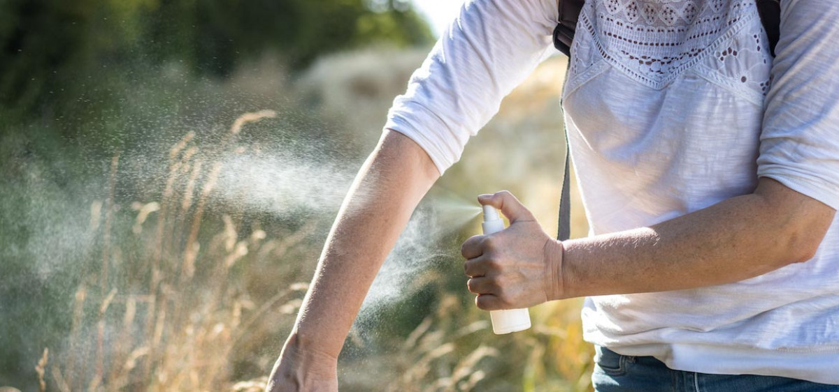 En cas de morsure de tique ou de taon, faut-il endormir l’insecte pour le retirer ?
