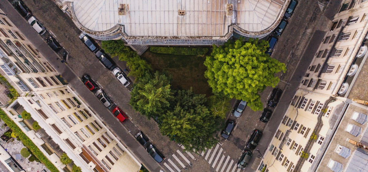 Des « forêts urbaines » pour sauver les villes ?