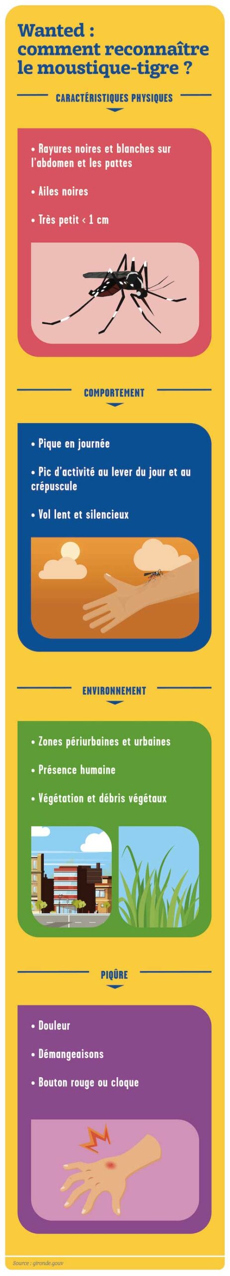 Moustique-tigre : 5 erreurs à éviter (sauf si vous voulez vous faire piquer)