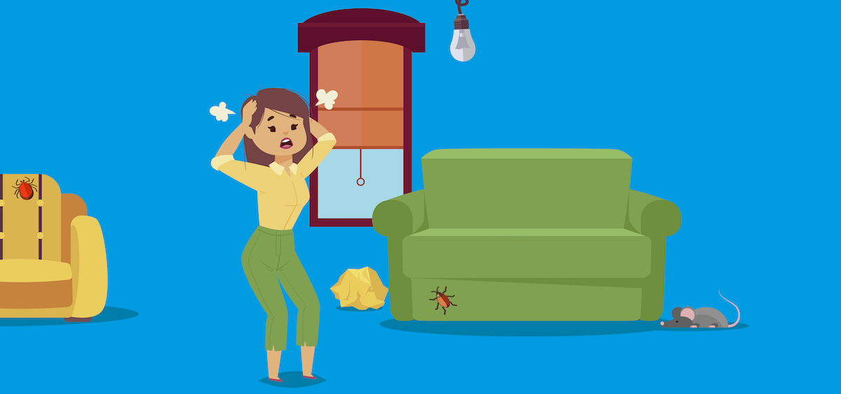 Nuisibles à la maison : les bons réflexes à adopter !