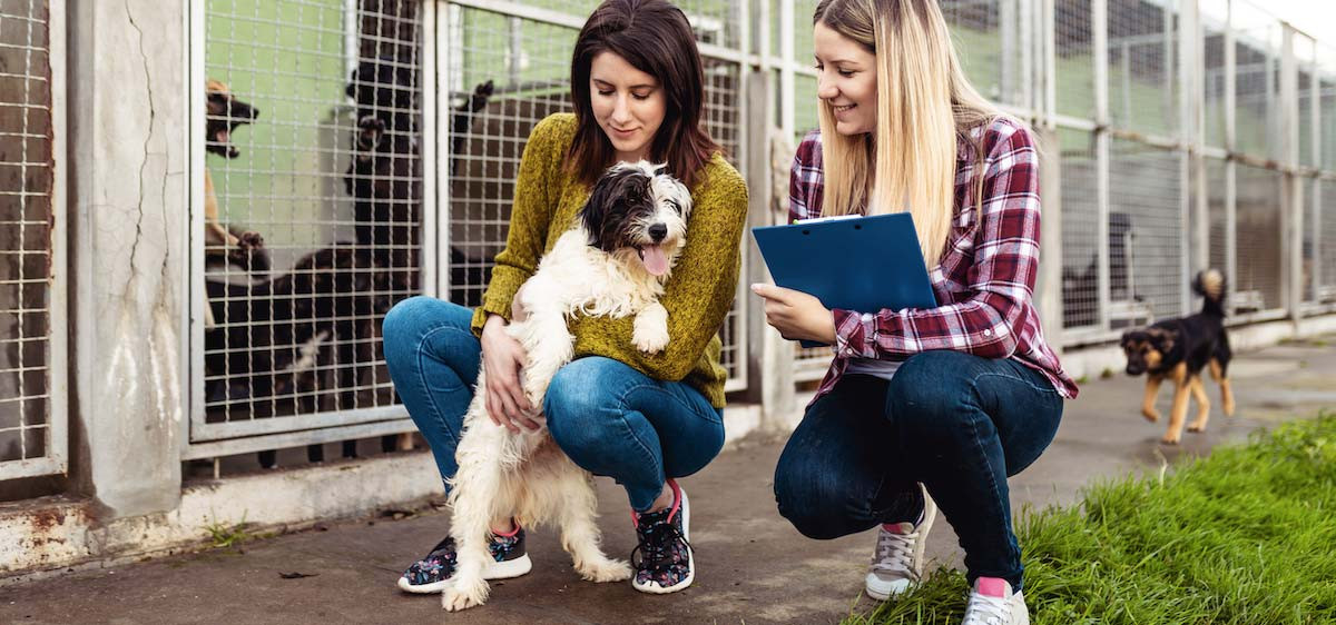 S’engager dans une association : quelles différences entre le bénévolat et le volontariat ?