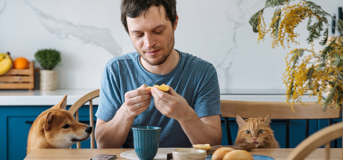 Tout pour veiller à la santé et au bien-être de son animal !