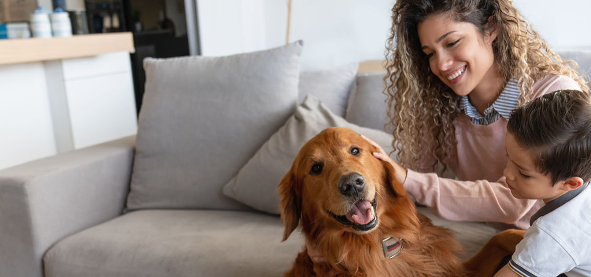 Animaux : 5 choses à savoir avant de devenir famille d’accueil