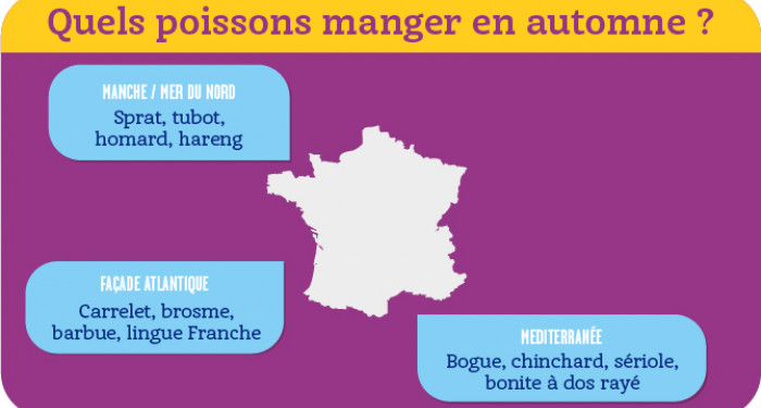 5 conseils pour consommer du poisson de manière responsable