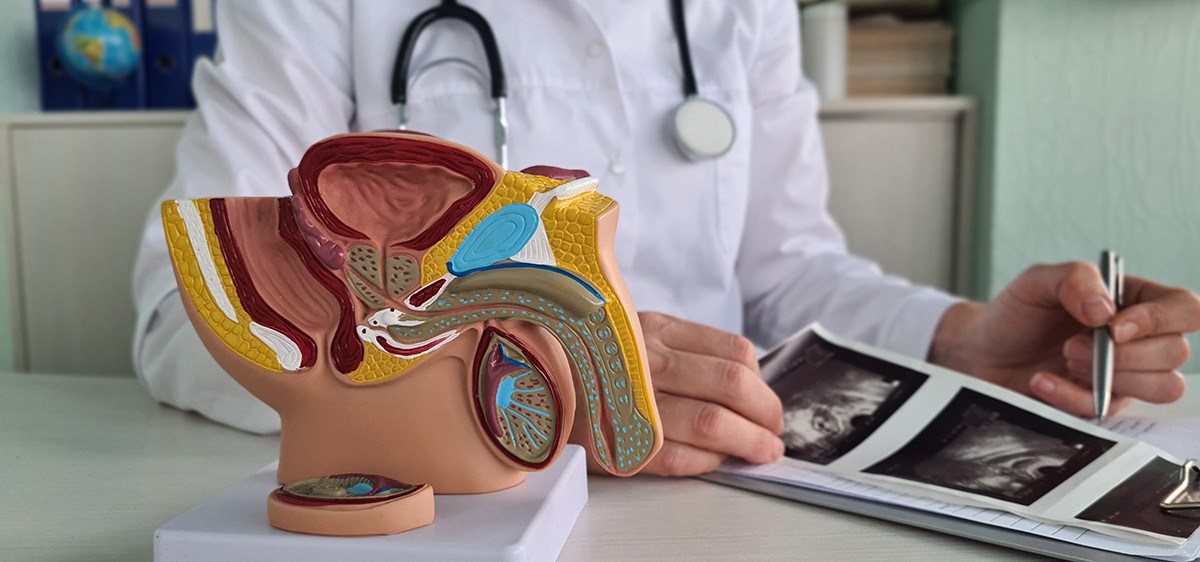 Cancer du testicule : quels symptômes et comment dépister ?