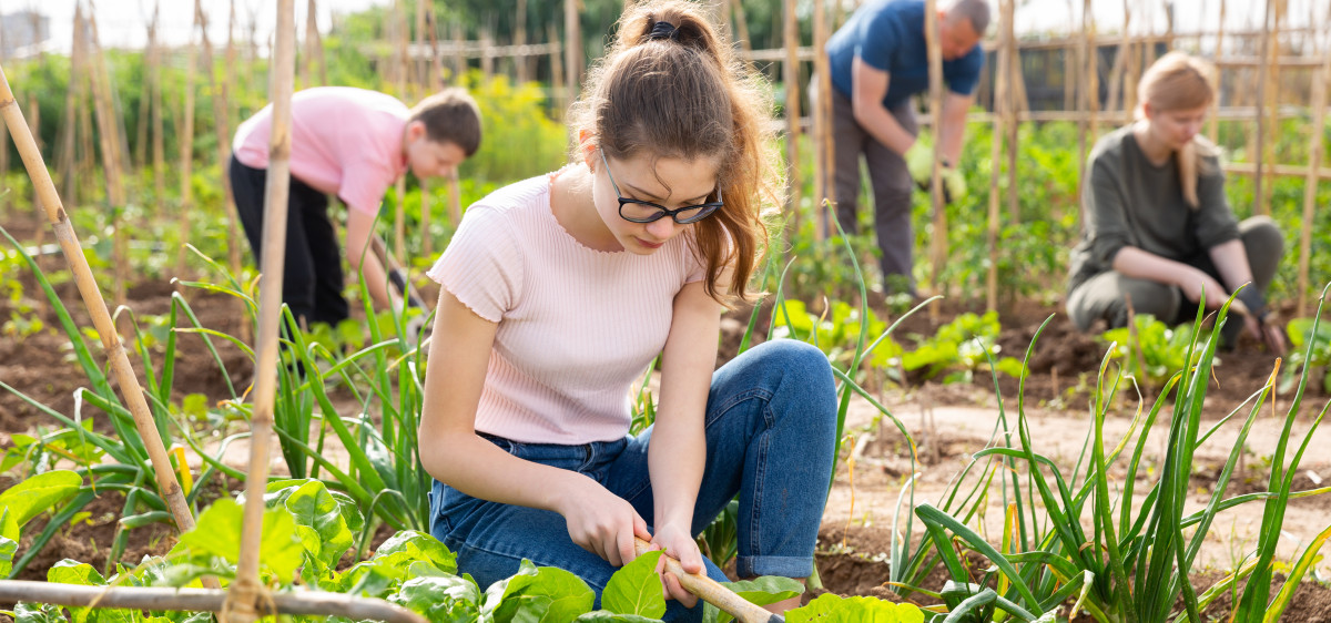 Le volontariat rural pour les jeunes