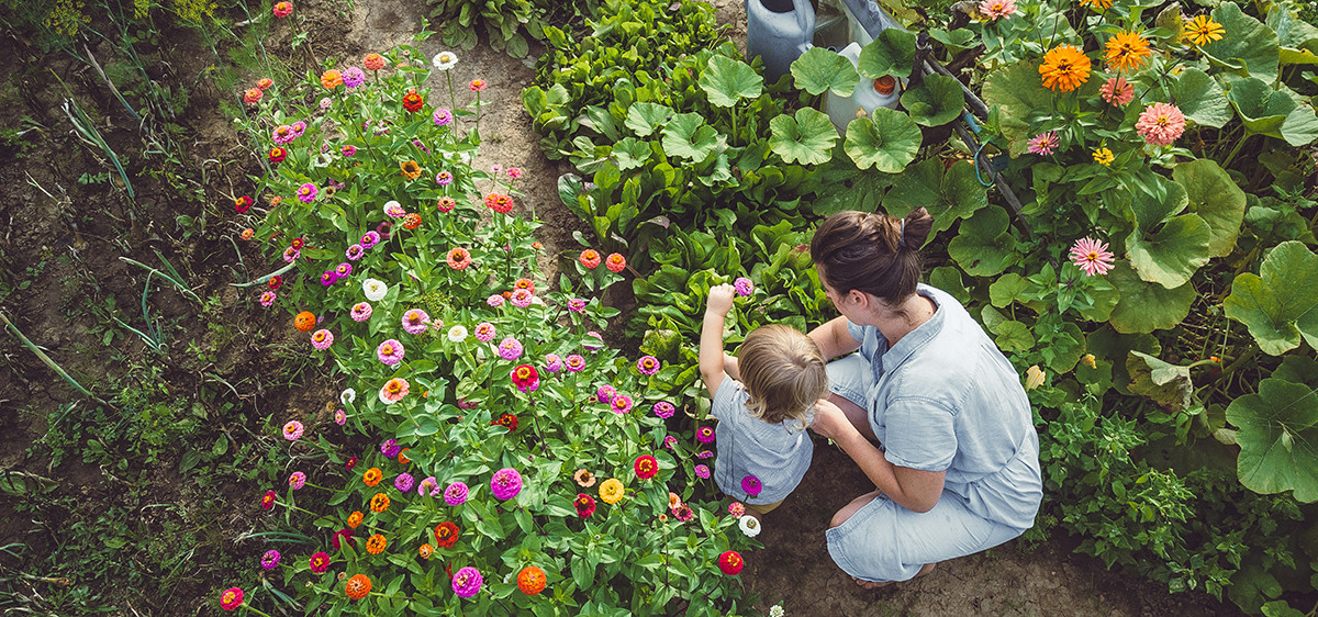 Les multiples facettes des campagnes françaises