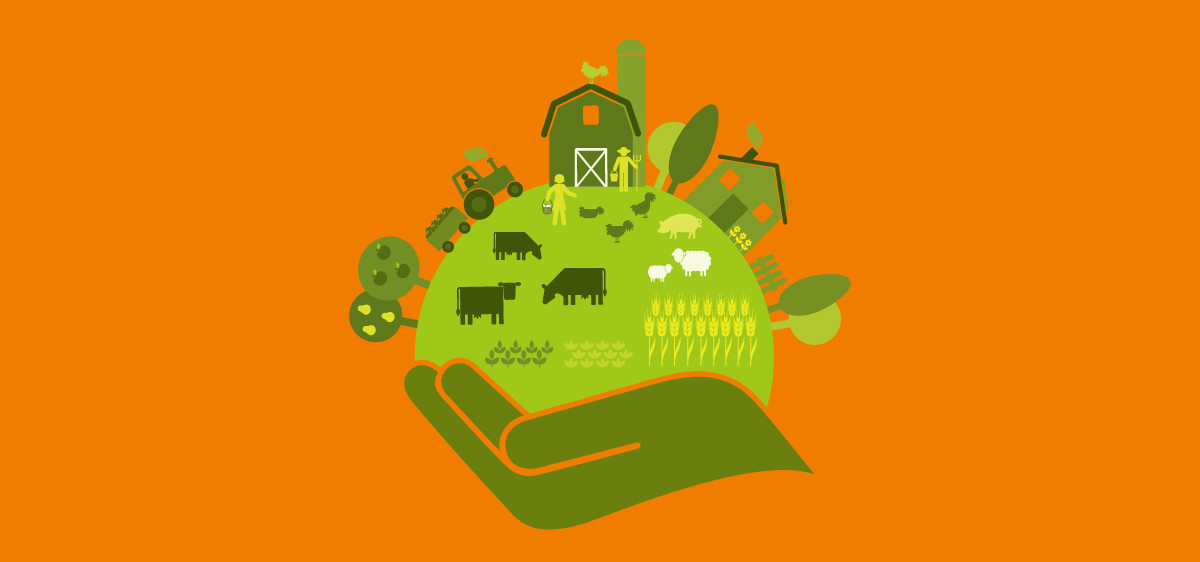 Comment devenir agriculteur bio (sans se planter) ?