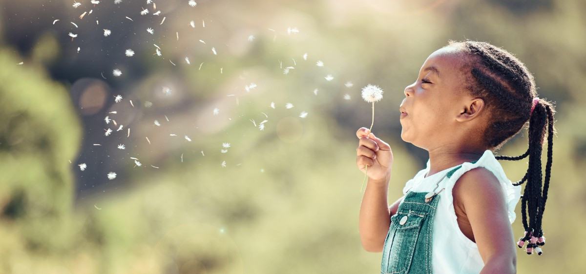 Changement climatique : quels impacts sur les allergies ?