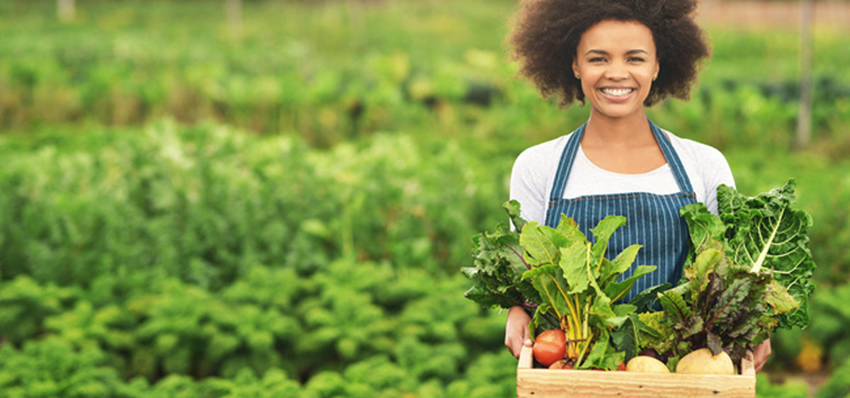 Manger sans pesticides : comment éliminer ces substances de notre alimentation ?