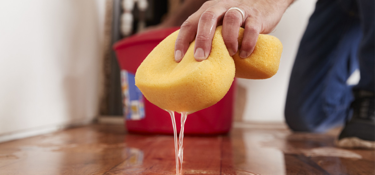 Que faire en cas de dégât des eaux ?