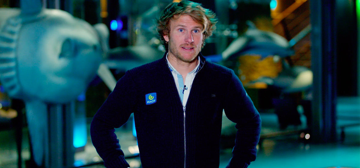 « Océan, une plongée insolite » : la fragilité des océans s’expose au Muséum d’histoire naturelle