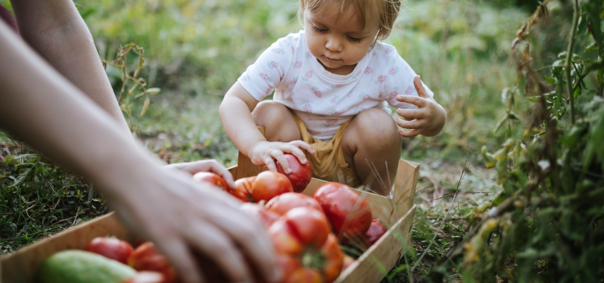 Ces fruits et légumes qui vous veulent du bien