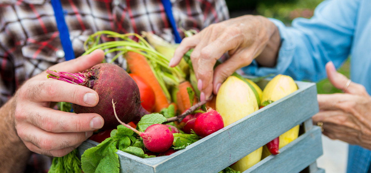 Je suis devenu locavore et j’en ai fait mon métier !