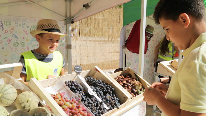 Manger de saison : calendrier et conseils !