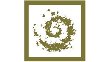 Quiz Code de la route | Vous êtes un véritable moniteur d’auto-école !