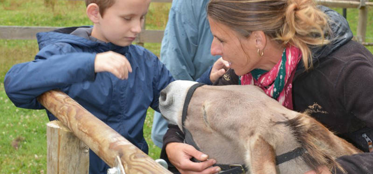 Zoothérapie : quand les animaux sont à cheval sur votre bien-être !